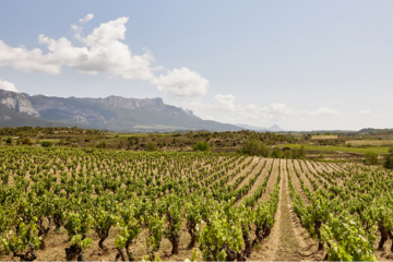 La Rioja Alavesa